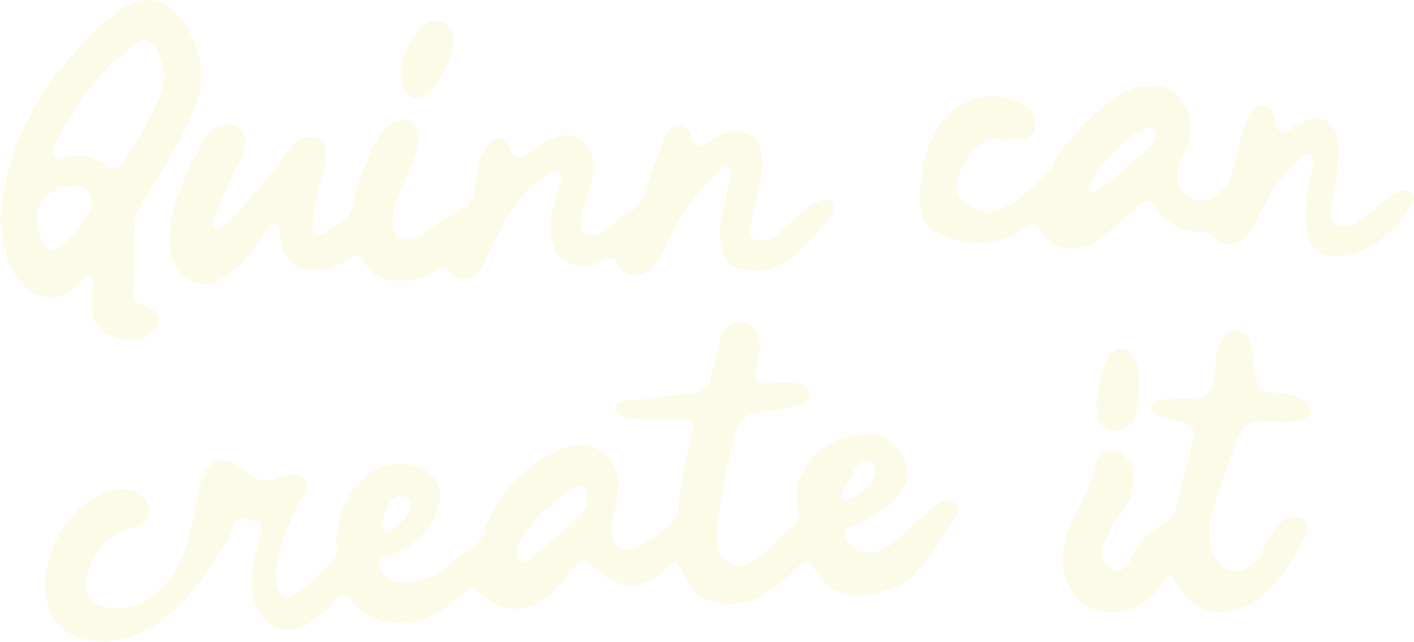 Quinn Can Create It